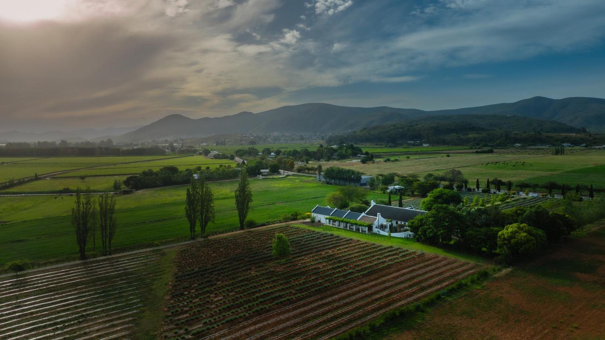 Beausoleil Daire Bonnievale Dış mekan fotoğraf